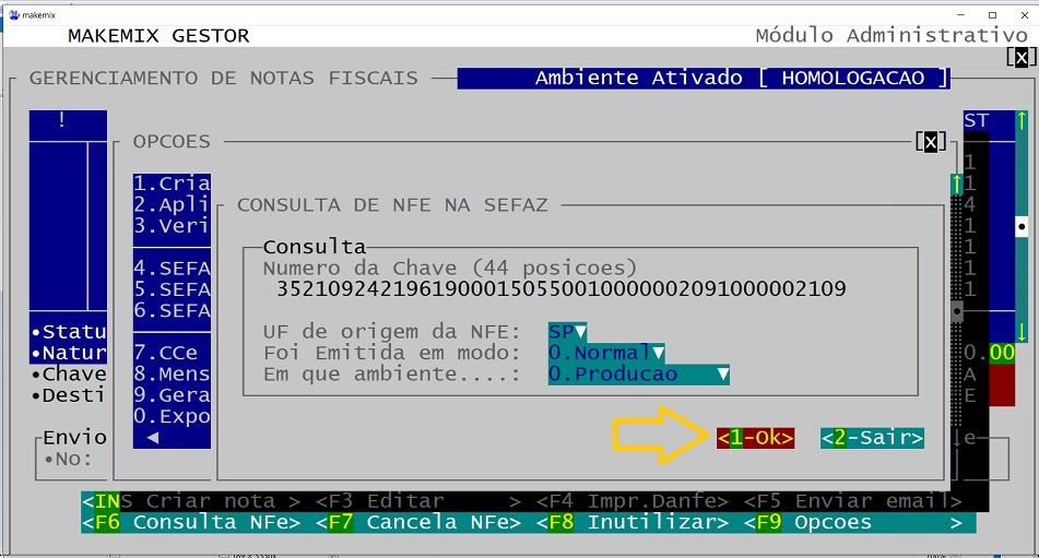 de Enter para preencher os campos e depois clique em OK